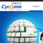 前景世紀(jì)網(wǎng)站建設(shè)