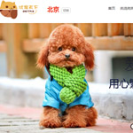 北京優(yōu)寵天下網(wǎng)站建設(shè)