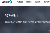 雷迪埃電子有限公司網(wǎng)站建設(shè)