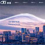 科順?lè)浪萍脊煞萦邢薰揪W(wǎng)站建設(shè)