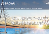 中國寶武武鋼集團有限公司網(wǎng)站建設