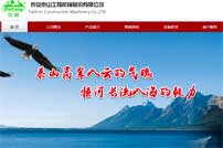 泰山工程機(jī)械股份有限公司網(wǎng)站建設(shè)