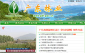 廣東林業(yè)網網站建設