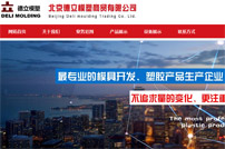 北京德立模塑商貿(mào)有限公司網(wǎng)站建設(shè)