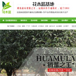花木藍(lán)網(wǎng)站建設(shè)