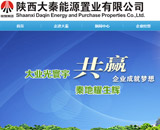 大秦能源置業(yè)網(wǎng)站建設