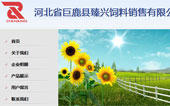 河北臻興飼料銷售有限公司網(wǎng)站建設(shè)