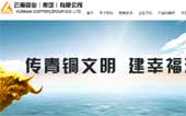 云南銅業(yè)(集團)有限公司網(wǎng)站建設
