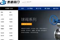 上海泰通閥門有限公司網(wǎng)站建設(shè)