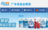 廣東省鹽業(yè)集團網站建設