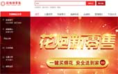 瀏陽花炮連鎖網(wǎng)站建設(shè)