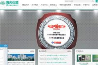 海光儀器網(wǎng)站建設