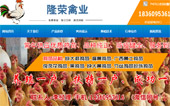 隆榮禽業(yè)網(wǎng)站建設(shè)